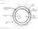 Fig. 01 - System for ex vivo modification of medicament release state