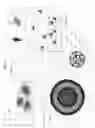 Fig. 49 - Multiple chamber ex vivo adjustable-release final dosage form