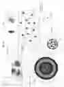 Fig. 55 - Multiple chamber ex vivo adjustable-release final dosage form