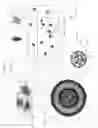 Fig. 64 - Multiple chamber ex vivo adjustable-release final dosage form