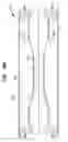 Fig. 31 - Variable flow infusion pump system