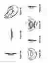 Fig. 09 - Pacifier weaning method and device