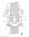 Fig. 08 - Dynamic fixation system