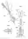 Fig. 02 - Intervertebral prosthesis placement instrument