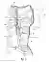 Fig. 02 - Systems and methods for treating dyspnea, including via electrical afferent signal blocking