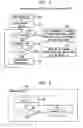 Fig. 06 - Nucleotide sequence screening