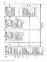 Fig. 07 - Dynamic change data capture process