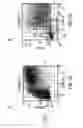 Fig. 03 - Interactive tree plot for flow cytometry data