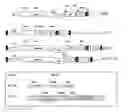 Fig. 01 - System for expression of genes in plants from a virus-based expression vector