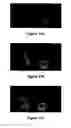 Fig. 22 - System for expression of genes in plants from a virus-based expression vector