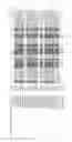 Fig. 24 - Method for increasing pathogen resistance in transgenic plants