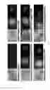 Fig. 02 - EPSPS chloroplast transit peptide (CTP) and expression cassettes and transgenic plants utilizing the CTP