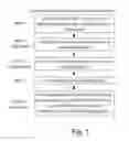 Fig. 02 - Method for Generating Plant Diversity By Incorporation of Microsatellite Sequences Into the Plant Genome