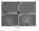 Fig. 49 - SCANNING PROBE EPITAXY