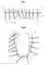 Fig. 07 - Device and method for processing objects