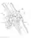 Fig. 02 - Conveyor chain