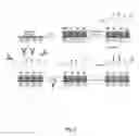 Fig. 04 - Functionalized nanopipette biosensor