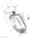 Fig. 02 - Soap pouch and method for making