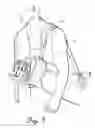 Fig. 02 - Shoulder Strap With Reinforcing Strip