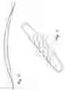 Fig. 04 - Shoulder Strap With Reinforcing Strip