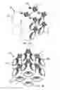 Fig. 09 - BOTTLE AND BOTTLE PACKAGE