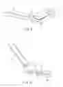 Fig. 09 - Hollow tissue inosculation apparatus