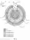 Fig. 03 - Apparatus and Method of Charge Induction for Cable to System Testing