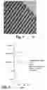 Fig. 09 - Security tag for optical media and processes for fabrication and attachment