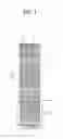Fig. 02 - Image forming apparatus that emphasizes a boundary between two objects using a halftoning process