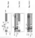 Fig. 17 - Piezo-driven non-volatile memory cell with hysteretic resistance