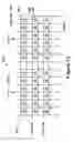 Fig. 08 - Quad+bit storage in trap based flash design using single program and erase entity as logical cell