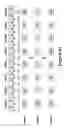 Fig. 21 - Quad+bit storage in trap based flash design using single program and erase entity as logical cell