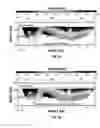 Fig. 04 - Methods for concurrent generation of velocity models and depth images from seismic data