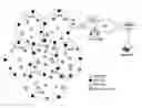 Fig. 01 - Method on localization message process for supporting mobility of wireless nodes