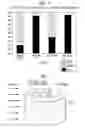 Fig. 06 - Methods for protecting eyes against neurodegeneration caused by glaucoma in age-related hereditary glaucoma using radiation