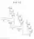 Fig. 12 - Labeled compound and detection method using the same