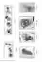 Fig. 04 - Methods for identifying stem cells by detecting fluorescence of cells and syncytia