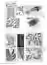 Fig. 12 - Methods for identifying stem cells by detecting fluorescence of cells and syncytia