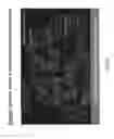 Fig. 17 - Methods for identifying stem cells by detecting fluorescence of cells and syncytia