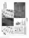 Fig. 18 - Methods for identifying stem cells by detecting fluorescence of cells and syncytia