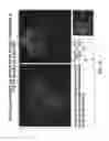 Fig. 19 - Methods for identifying stem cells by detecting fluorescence of cells and syncytia
