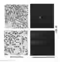 Fig. 22 - Methods for identifying stem cells by detecting fluorescence of cells and syncytia