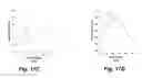 Fig. 19 - Lung cancer detection by optical analysis of body fluids