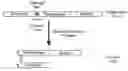 Fig. 01 - Botulinum neurotoxin serotype B activatable Botulinum neurotoxin serotype Bs