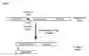 Fig. 02 - Botulinum neurotoxin serotype B activatable Botulinum neurotoxin serotype Bs