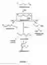 Fig. 02 - Divinyl ether synthase gene and protein, and uses thereof