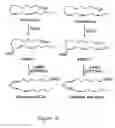 Fig. 06 - Divinyl ether synthase gene and protein, and uses thereof