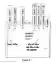 Fig. 06 - METHOD FOR REDUCING PROTEASE ACTIVITY IN PLANT HYDROLYSATE