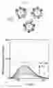 Fig. 09 - Method for detecting target substance, and tag, DNA, vector, probe and detection kit for use therewith