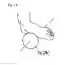 Fig. 14 - EXERCISE ASSISTING DEVICE